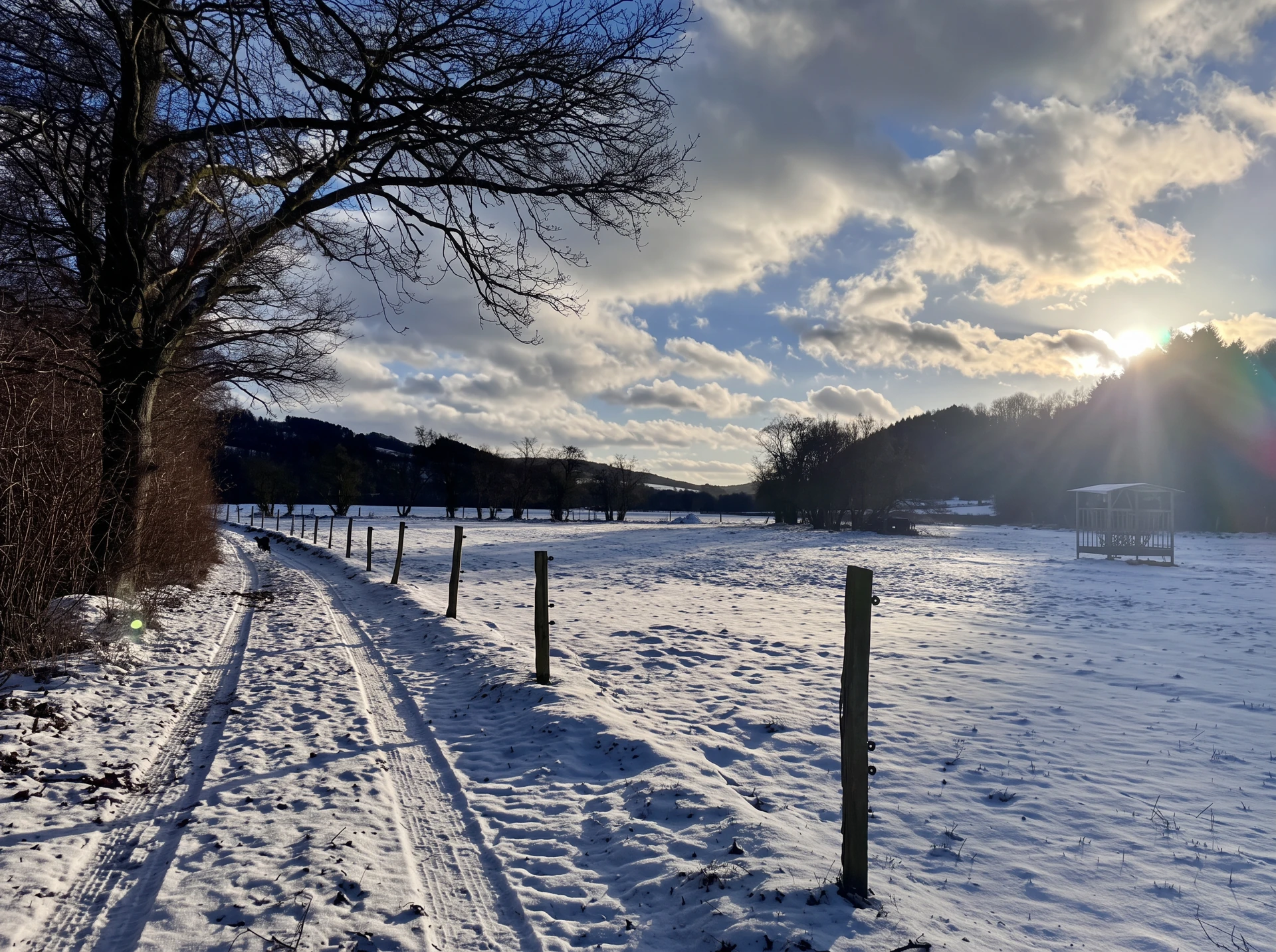 Winterlicht