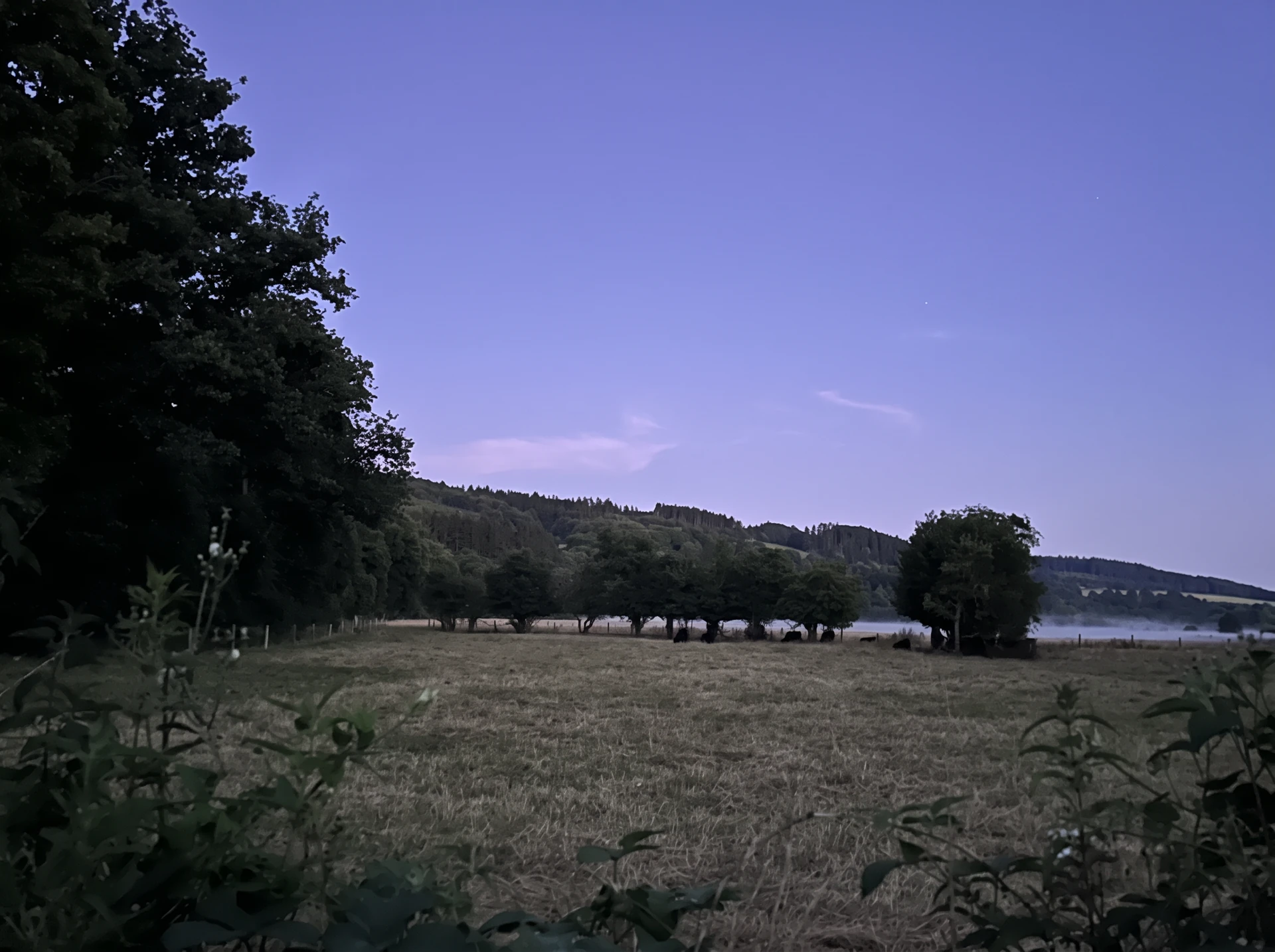 De weides
